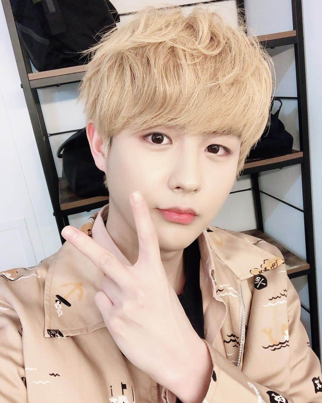 インジュン のインスタグラム：「俺と似てるな~と思う動物を コメントに書いて~💕 나랑 닮은거 같은 동물있으면  함 알려줘바~💕 . . . #셀카#셀피#데일리#일상#인준 #selfie#daily#l4l#injun #インジュン#俺と似てる動物は~~? #へんな動物かかれたらどうしようw」