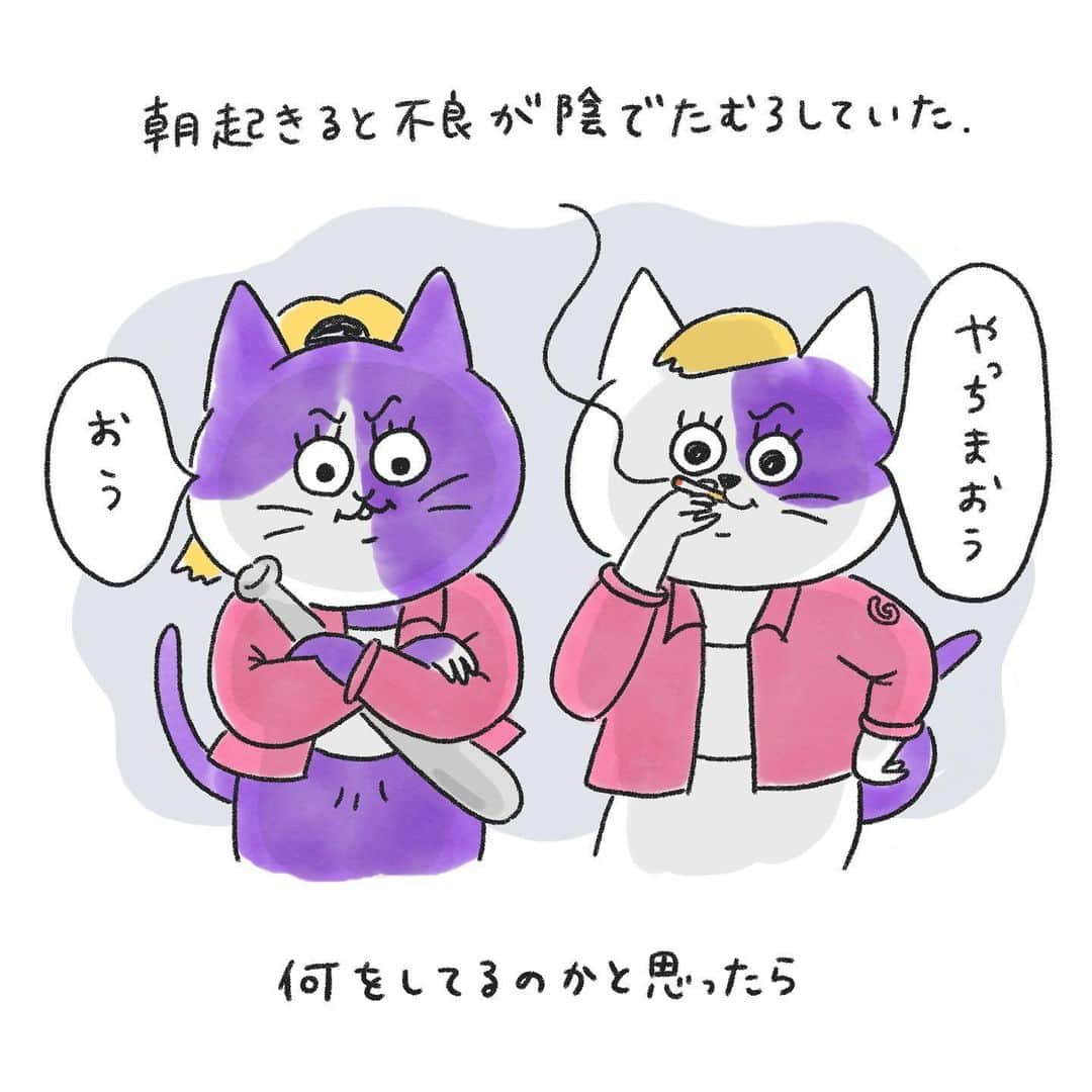澤村 花菜のインスタグラム：「どうか、どうか大人になったら落ち着きますように。  #ぐみごまのまんが #illustration#drawing#comic#cats#猫」