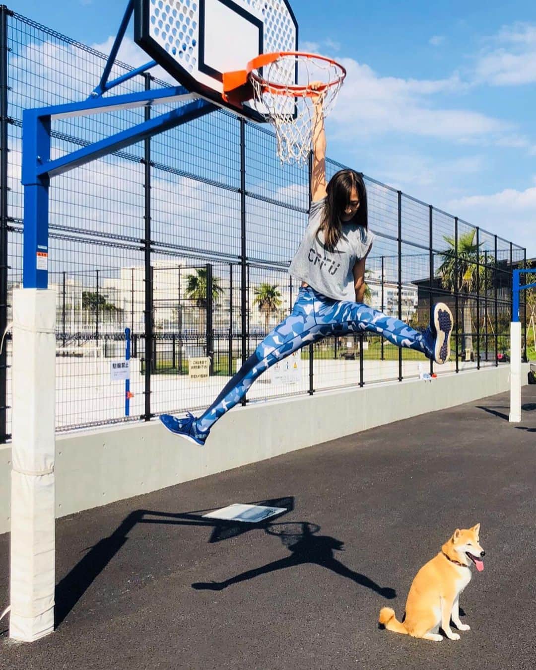 のインスタグラム：「Happy 7th birthday to my baby boy Kobe🎉💛🐕コービー今日で7歳✨時が経つのは本当に早いな。﻿5年前の夏に愛猫にゃーを公園で保護した時も、ひたすら隣で優しく寄り添ってくれた世界一優しい柴犬。﻿ いつまでも我が家の宝物です🥰ずっと健康で、ギネスレコードに載るくらい長生きしてね。。iloveyou﻿  今天是我的狗Kobe出生的日子、Wǒ ài nǐ❤️﻿ ﻿ #birthday #family #kobe #dunk #柴犬 #shibainu」
