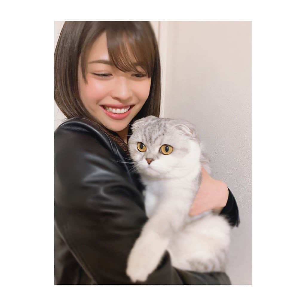 金澤朋子さんのインスタグラム写真 - (金澤朋子Instagram)「愛猫すいちゃんと。🐈🐾 . #juicejuice #金澤朋子  #猫 #にゃんすたぐらむ #すいちゃん  #スコティッシュフォールド #可愛い」3月10日 20時00分 - tomoko_kanazawa.official