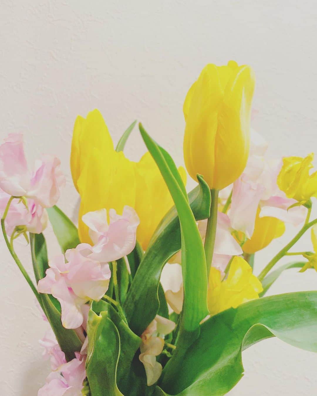 小野口奈々さんのインスタグラム写真 - (小野口奈々Instagram)「・ お部屋が一気に春に😊 このお花は、先日の中継でお世話になったお店の お向かいにあるお花屋さんが 中継終わりにプレゼントしてくださったもの💐 見ているだけで元気になります✨✨ #花チャン屋さんありがとうございます #お花はもらうのもあげるのもすき  #花のある暮らし #花チャン屋 #大川市」3月10日 20時32分 - nana0no