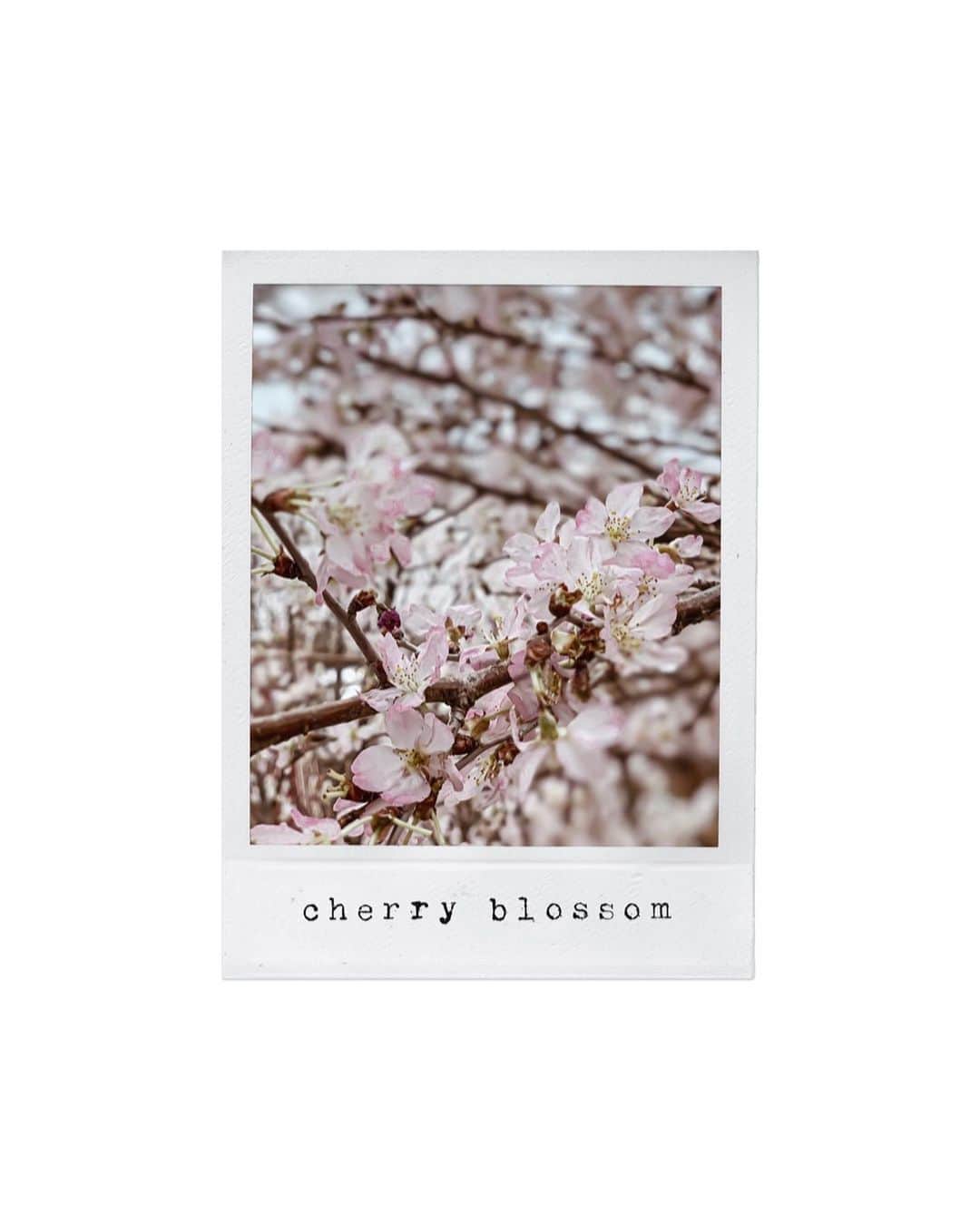 Yukicoのグルメインスタ