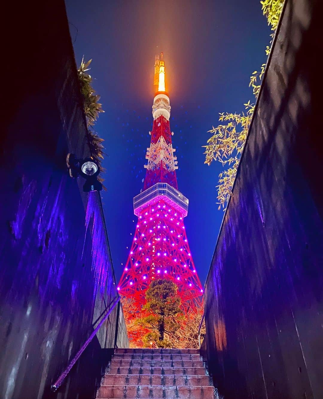 本間昭光のインスタグラム：「定期投稿。200310 #東京タワー」