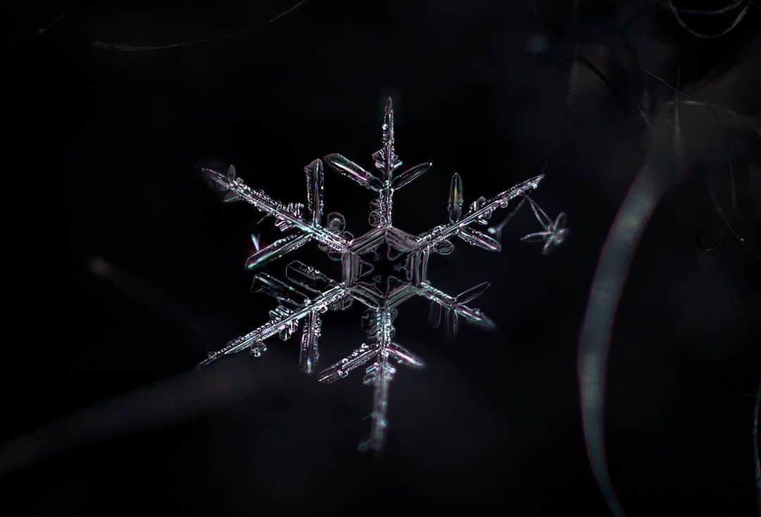アンジー・ペインさんのインスタグラム写真 - (アンジー・ペインInstagram)「Snowflake from 3 angles. It’s amazing what a difference a subtle shift in the angle of light makes when viewing these insane little flecks of beauty. • • • #macro #macrophotography」3月10日 23時04分 - angelajpayne