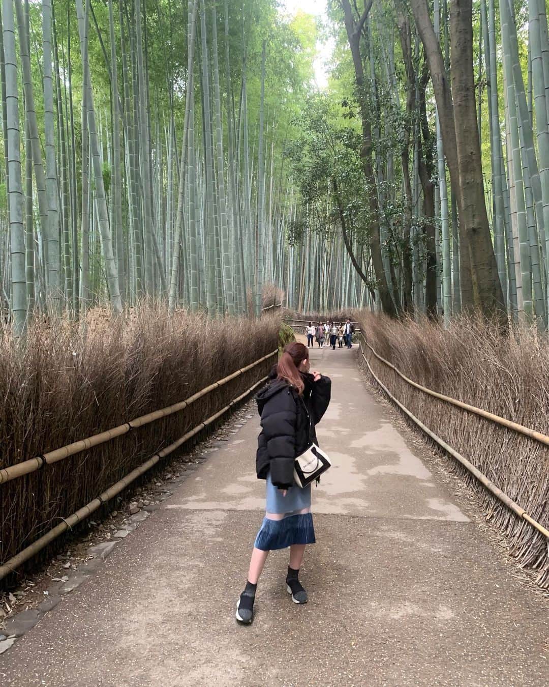 渡邊真由さんのインスタグラム写真 - (渡邊真由Instagram)「竹林の小径🎋♡ . . . #京都　#観光　#日本　#竹林の小径　#kyoto」3月10日 23時09分 - ma_yuuuu912