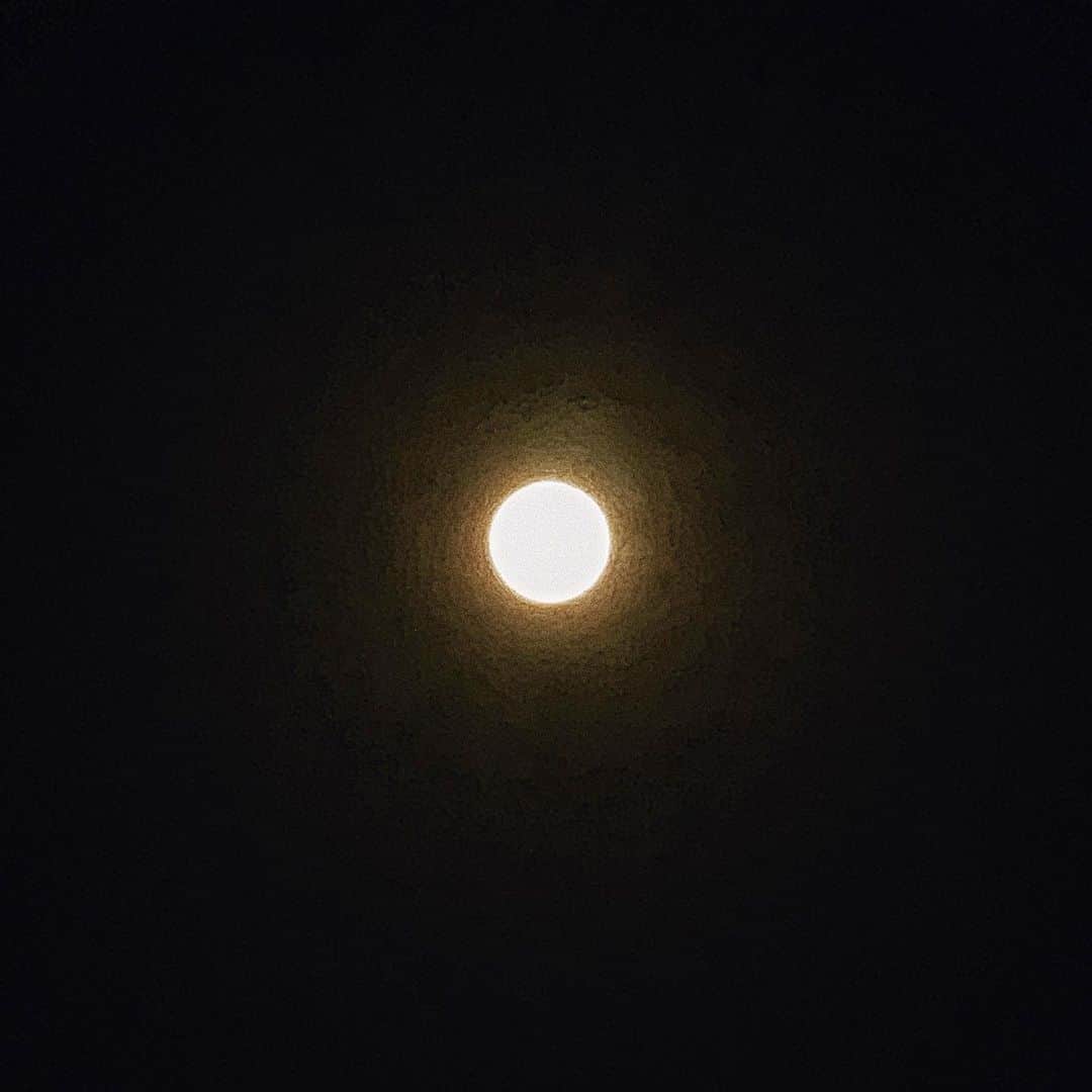 三浦大地さんのインスタグラム写真 - (三浦大地Instagram)「洗い流すような雨が止んで、暖かい空気に包まれ、空には満月。  重力が変わったかのように体が軽くなり 久々に形の無いメッセージが降りてきました。 「今までにさようならを告げなさい。」」3月10日 23時27分 - daichi_1127