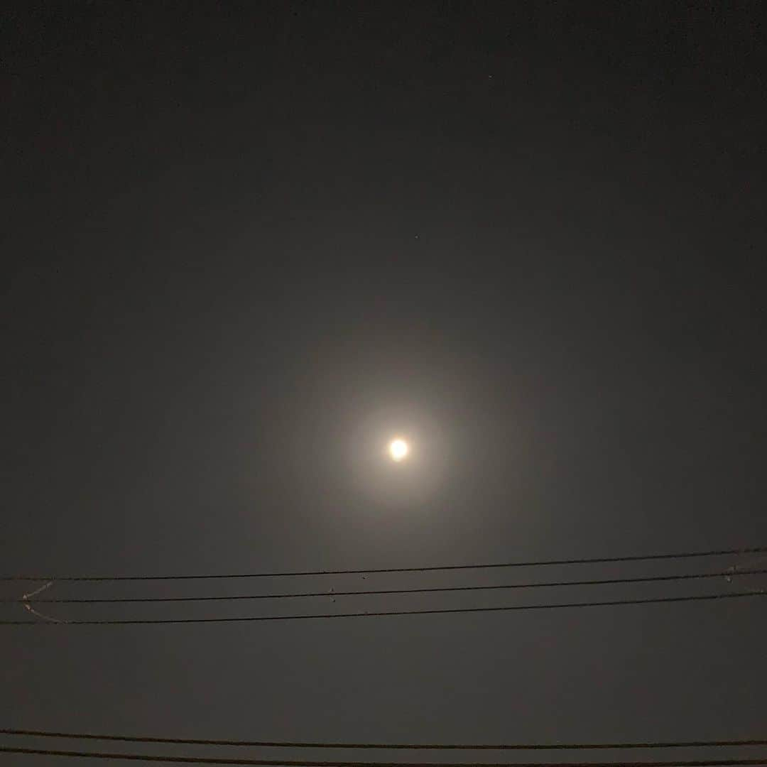 福西崇史さんのインスタグラム写真 - (福西崇史Instagram)「. 月夜の光🌕 . 輝いて見えるのは俺だけ…？笑 . #満月 #見てみて #寒くないし #満月だから当たり前なのか #雨上がりだからなのか #綺麗やん #東京以外はどうやろ #moon #no加工 #ınstagood #instaphoto」3月10日 23時38分 - takashi_fukunishi