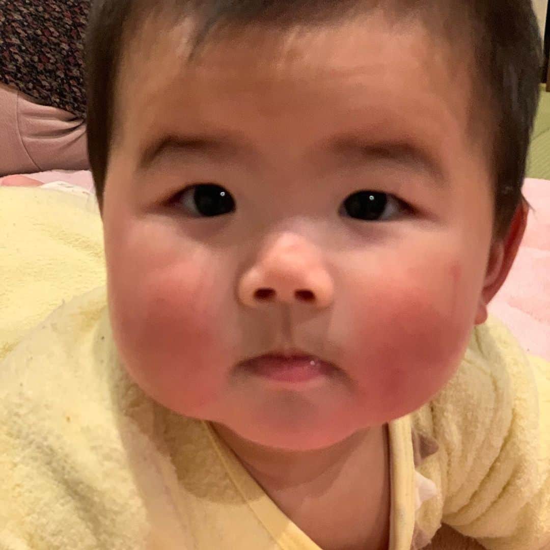 前田阿希子さんのインスタグラム写真 - (前田阿希子Instagram)「今日、おばばと一緒に双子にご飯を食べさせている途中に、おばばとまぁまぁな口論を展開しました。  すると、いつもベーって吐き出したりふざけたりするところを、まるで私たちのご機嫌をとるみたいにニコニコ笑い、私たちの様子を伺いながら上手に食べてくれました。  うーん…8ヶ月の子ら、母よりすでに空気を読むのがうまい。 ・ ・ ・ ………ごめんね。  #8ヶ月の子に気をつかわせる #育児は難しい #中身、19歳程で止まっています #君たち、空気読みうまいのね #母はそんなこたぁできないよ #ごめんよ、双子 #ままのて #ベビスタグラム #たまひよ」3月11日 1時09分 - akiko_1206
