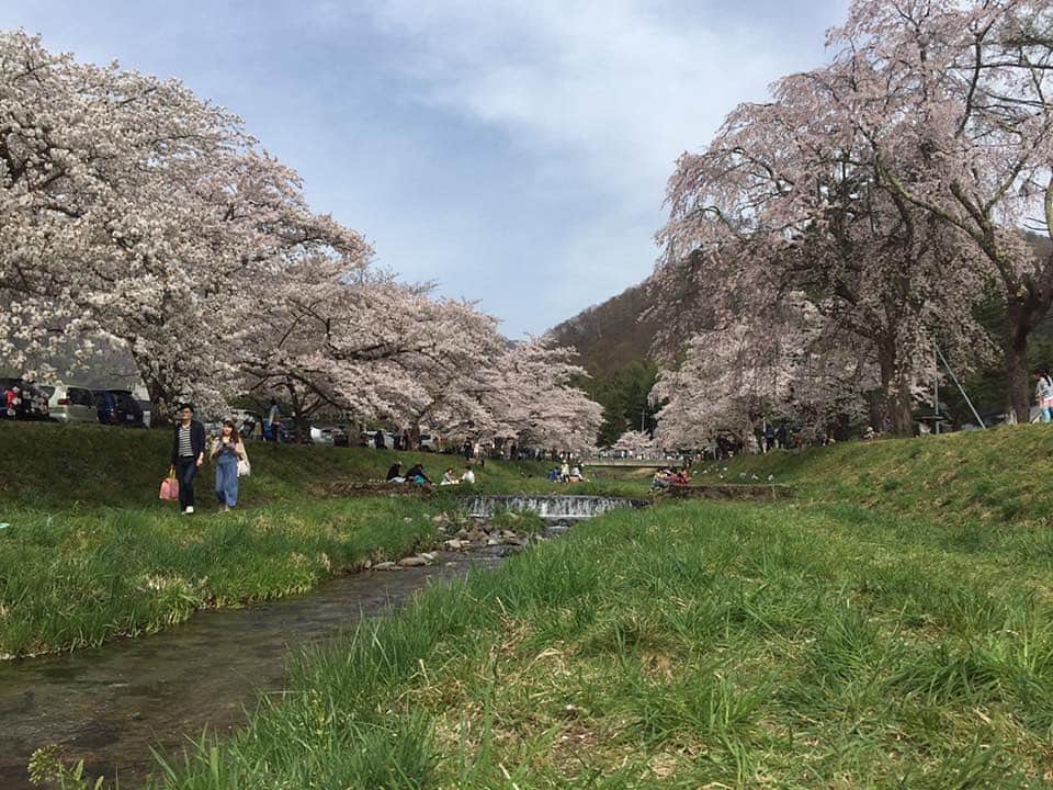 片山真人のインスタグラム：「2011年3月11日、私は福島放送入社1年目の記者兼アナウンサーで、県議選にむけた取材中、須賀川市で被災しました。 翌12日、中継ヘリの待つ福島空港に向かうクラックが入った国道4号を走行中、電話で告げられた上司からの言葉とその大きな衝撃は、今も耳に残っています。 『引き返せ！原発が爆発した』  震災と原発事故後、2016年6月まで福島に居ました。毎年福島に足を運んでいますが、今なお、福島は年間の放射線量に応じて避難区域が設定されているため復興は道半ばです。30、40年かかるとされる東京電力福島第一原発の廃炉作業は、必ず監視、見届けなければならないと感じています。  あれから9年。 きょうも、そしてこれからも。 東北、福島に、想いを馳せていきたいです。  写真は私が大好きな猪苗代町の観音寺川の桜並木です。 14日には常磐線も9年ぶりに再開。 東北の春が待ち遠しいです。 #311 #福島」