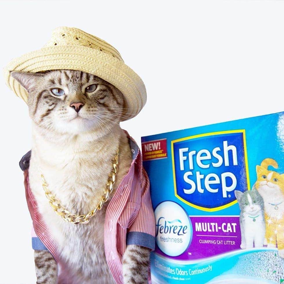 Fresh Stepのインスタグラム：「Let's talk about that chain. It's 🔥😹 📸: @poonchic #」
