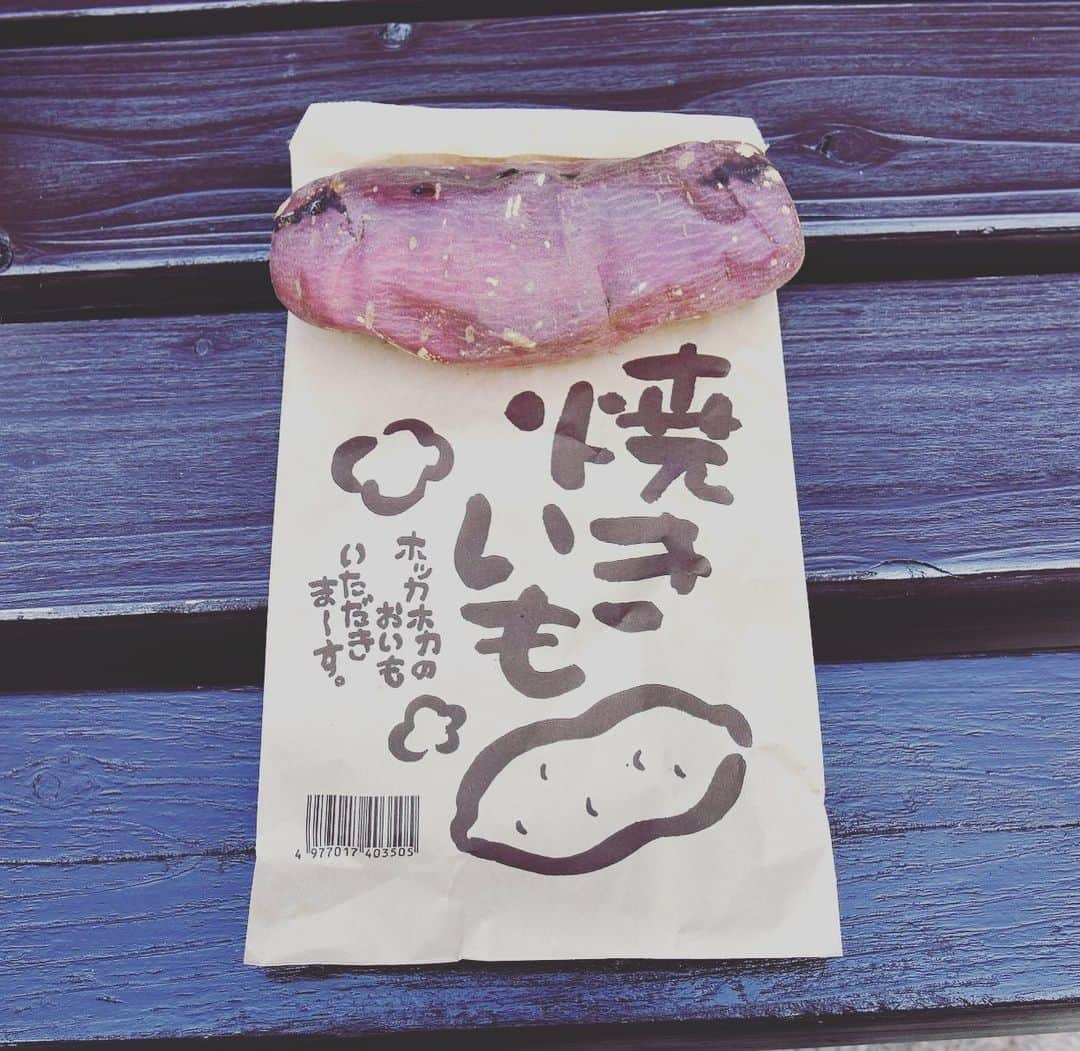 小野真弓さんのインスタグラム写真 - (小野真弓Instagram)「おはようございます😃 今日は最高気温20度予報☀️ やっぱり晴れると気分も晴れやか🌈✨ 今日も良い一日を(^o^)/💓 笑顔で過ごせる毎日に改めて感謝😌 #チワワ#ハナちゃん #チワマル#ハルくん #いぬすたぐらむ #いぬばか部 #千葉県#富津市#道の駅保田小学校 #焼き芋#いかメンチ#千葉グルメ#千葉ドライブ#ちばすたぐらむ #chihuahua #maltese #mixdog#dogstagram #doglover #外活#犬活#買い物でこつこつ復興支援#千葉活 あつあつ焼き芋に釘付け一家🍠🍠🍠 みんなでわけわけ😋 イカメンチはかーさんの🦑」3月11日 5時59分 - hanaharuaroi