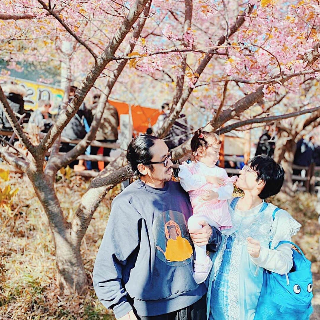 サオリリスのインスタグラム：「時は少し遡って。河津桜を見に三浦海岸へ。この時立ち寄った食堂で、きっかがサバのみそ煮に目覚めた。翌日サバのみそ煮を作って食べて、それから週一週二のペースでサバのみそ煮。急に食べたがった時用にみそ煮缶もストック。私が入院中の居ぬ間もみそ煮を食べてると報告が。サバ愛。 @kakikukekikka @hbkr」
