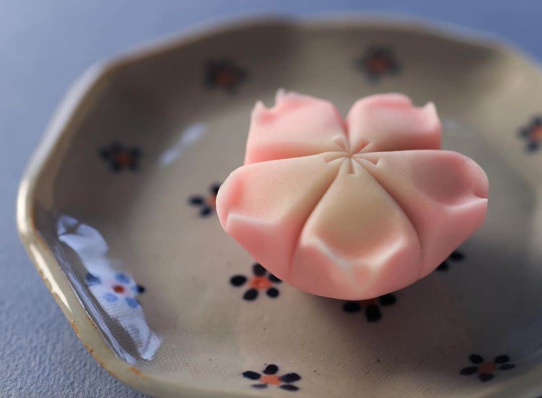 Toru Tsuchieのグルメインスタ