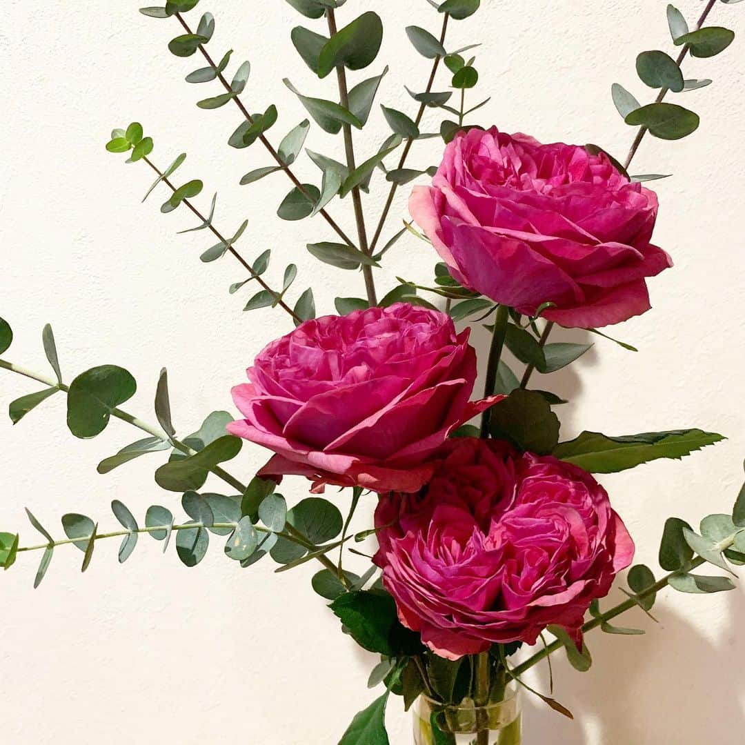 吉田美紀さんのインスタグラム写真 - (吉田美紀Instagram)「・ ・ 幾重にも花びらが重なる大輪のバラ とても美ししかったので 飾ってみました🌹🌹 ・ ・ 今日は3月11日。 東日本大震災から9年の月日が経ちますね。 ・ ・ いつ、なんどき、 再び起こるか誰にも分からない自然災害。 ・ 当たり前に感じる生活や環境を 改めて見渡してみたいと思います。 ・ ・ 不安な日々が続きますが 一日も早く 明るいニュースが舞い込む春が訪れますように🌿✨ ・ #rose #flowers #311 #薔薇 #バラ #お花のある暮らし #春」3月11日 8時27分 - miki__yoshida