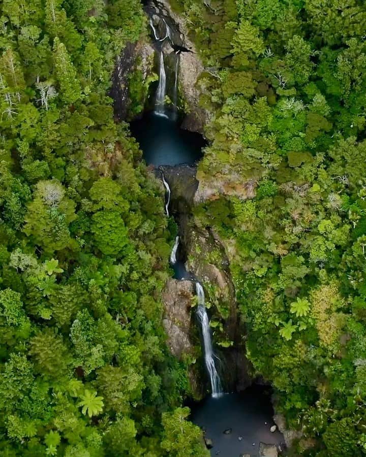 Travis Burkeのインスタグラム：「Personal pool with a view the other day here in New Zealand. Would you go for a swim?  Swipe right to see what @gypsealaysea and I found after her first dip... Would you jump in after seeing that?!? 😅  #NewZealand #waterfalls #nevercominghome」