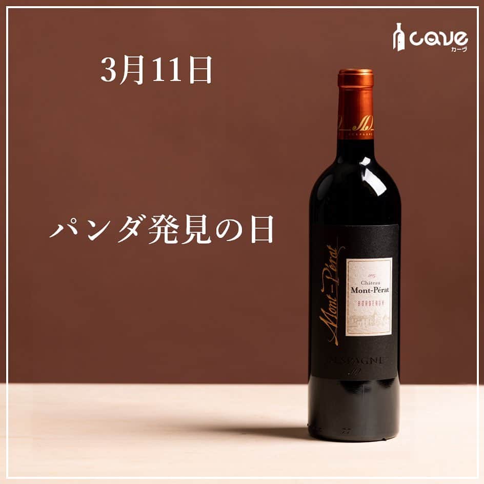 カーヴ 公式アカウントのインスタグラム