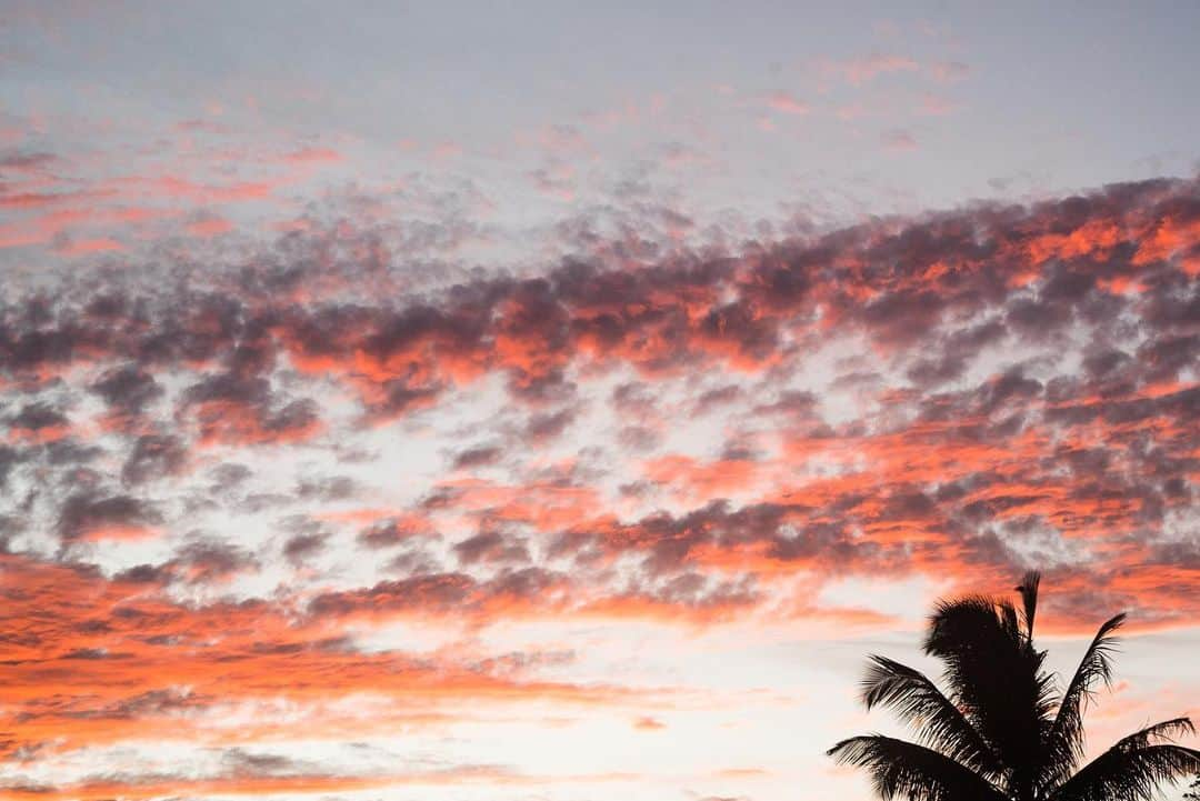 シグリッド・アグレンさんのインスタグラム写真 - (シグリッド・アグレンInstagram)「#pinkisthesky #sunset #martinique #magicisreal」3月11日 9時52分 - sigridagren