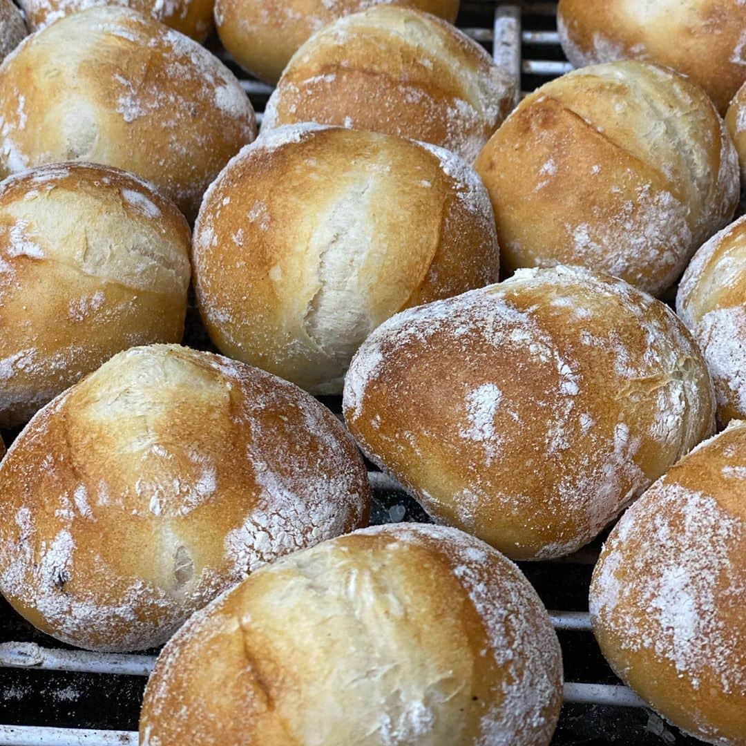 魔女菅原のグルメインスタ