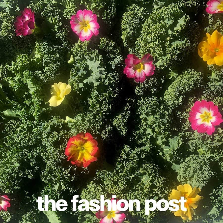 The Fashion Postのインスタグラム