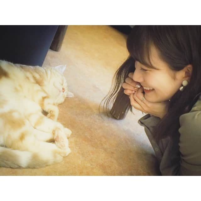 江嶋綾恵梨さんのインスタグラム写真 - (江嶋綾恵梨Instagram)「ねこ。🐱💤」3月11日 10時21分 - aeringoooo