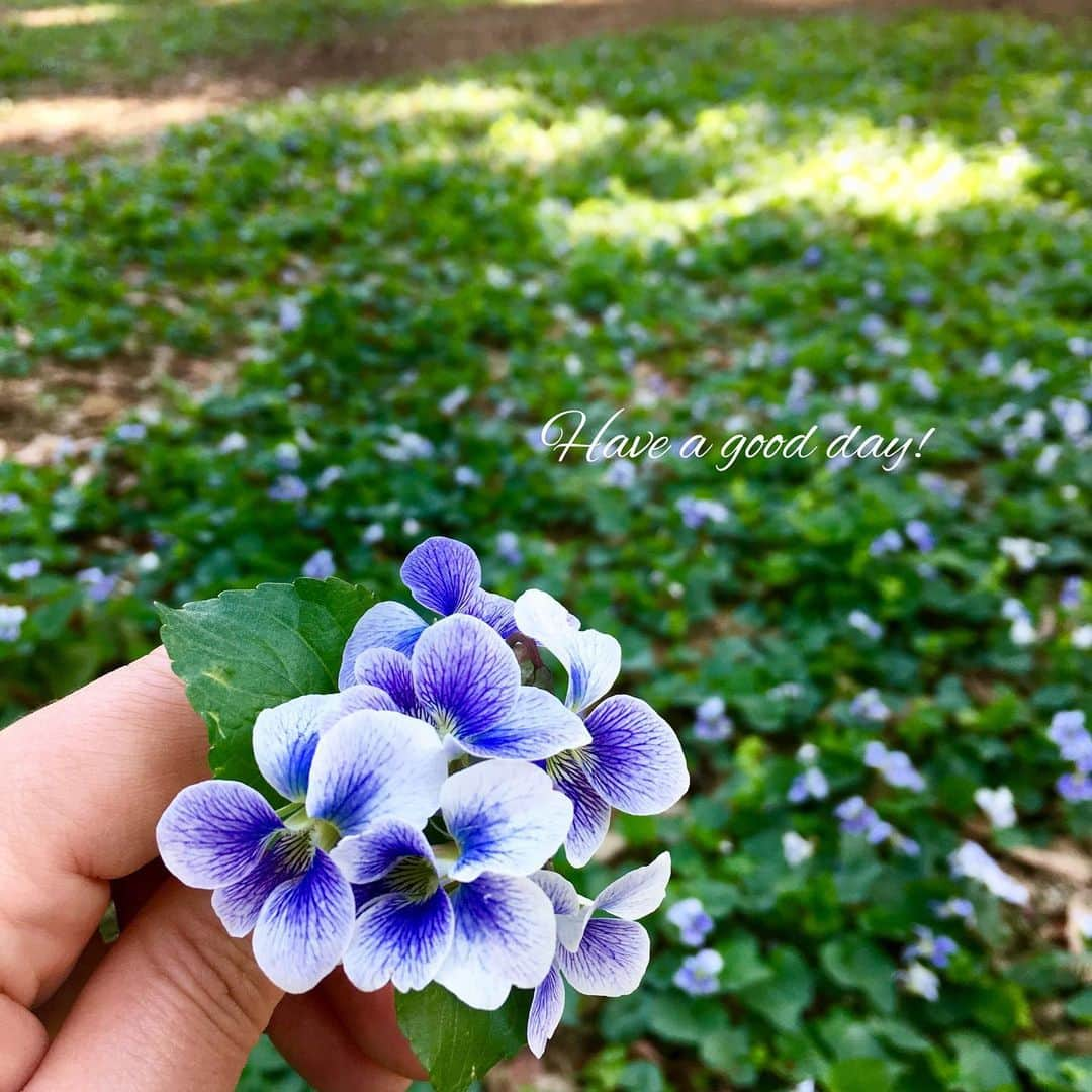 雑誌『花時間』のインスタグラム