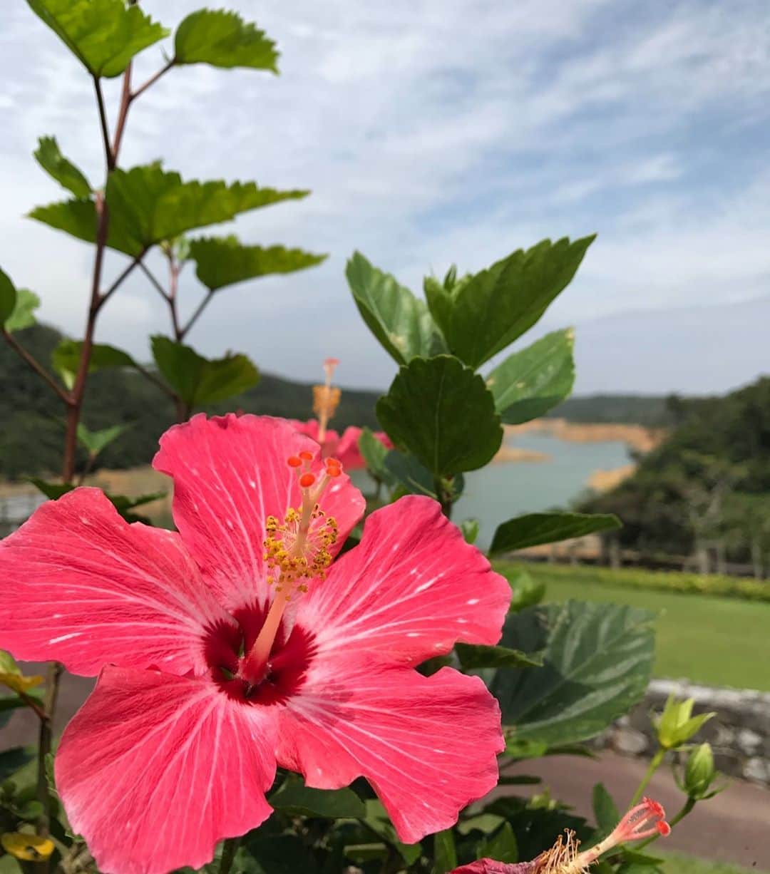 のインスタグラム：「#311 流れていくような日常を、当たり前と思わずに過ごした1日。丁寧に生きよう！！」