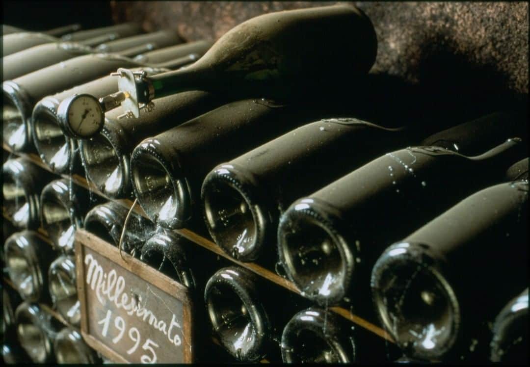 berlucchiwinejpのインスタグラム：「ベルルッキは、3世紀以上の歴史を誇るイタリアン「メゾン」です。当社のワインは、フランチャコルタの由緒あるセラーで天然酵母を用いて何年ものあいだ熟成させます。」