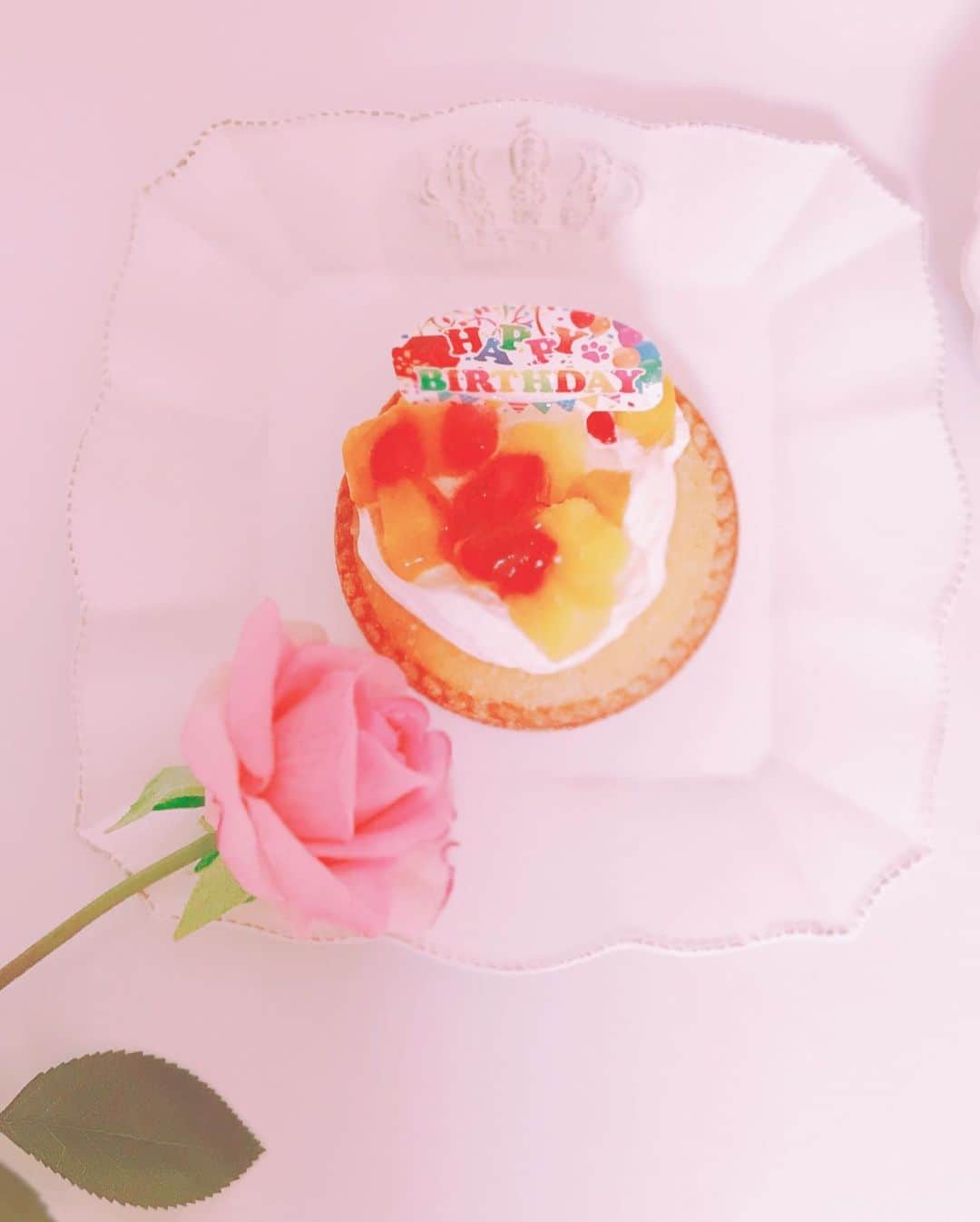 真坂美帆さんのインスタグラム写真 - (真坂美帆Instagram)「＊ ★🎂✨★ ・ お誕生日おめでとう、トーマ✨ たのんでいたケーキ… んーなぜか届かなかった。  じっとしていても仕方ないので よく行くお店のケーキを うきうきと選びました🎂💕 日にちが変わらないうちに お祝いできるかなぁ❓ 目をくりくりさせながら でているケーキの解凍待ち💕  トーマくんとユイカちゃんにクラ ウンのマークのお洋服をプレゼン ト♡ 喜んでくれるとい ーなぁ＊* まっててねっ💕　あと少し…✨ ・ ・  #犬 #わんこ #わんちゃん #ケーキ #バースデー #バースデーケーキ #フルーツ #トイプードル #プレゼント #可愛い #誕生日 #言葉遊び #おめでとう #ピンク #イエロー #おそろい #楽しい #嬉しい #お祝い #トーマくん #ユイカちゃん #いつも一緒」3月11日 20時33分 - miho.sakurazaka_mii