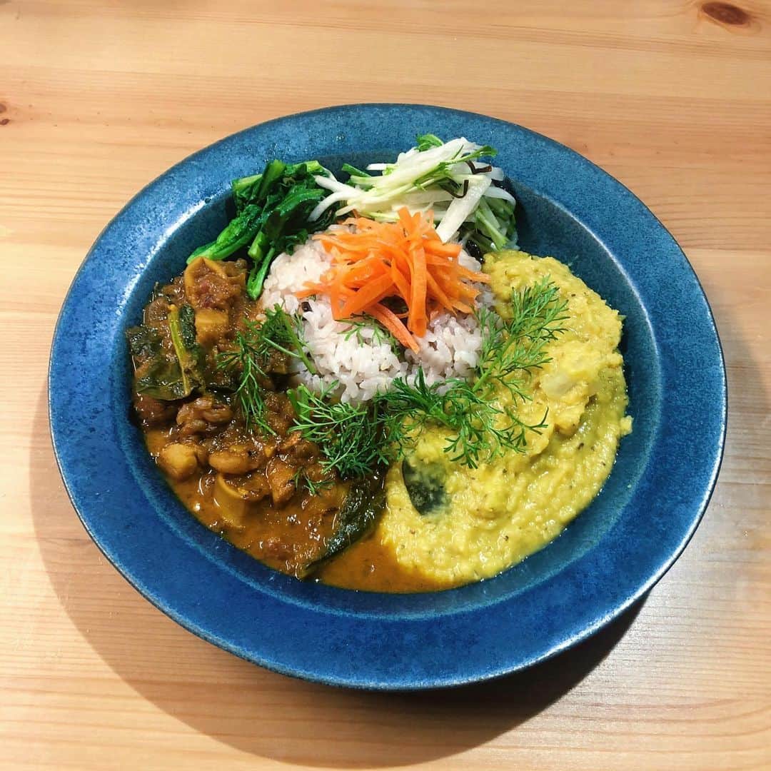 木村ミサのインスタグラム：「今日のおうちカレー🍛﻿ ﻿ シーフードとかき菜カレーと大根のダルカレーの2種盛り🍛﻿ パクチーはベランダ菜園で採れたもの🌱﻿ パリップ(ダル)はフレッシュなカレーリーフが手に入ったのでいつも以上においしい。﻿ おうちのカレーも #onthetable のお皿に載せると﻿ 盛るのが苦手なわたしでも﻿ それっぽくなるのでおすすめ。🍽﻿ ﻿ ﻿ ﻿ 4/4にまた新橋カレーイベントやります🍛﻿ あけといてくださいませ🌸﻿ なにつくろうかなぁ👩‍🍳、﻿ ﻿ カレーつくるのはストレス発散というか﻿ 集中力が高まるのですきだけど﻿ 香りでおなかぺこぺこになって﻿ 食べる瞬間がたまらなく至高🍛﻿ ﻿ ﻿ ﻿ ﻿ #curry #timeiscurry #カレー #2種盛りカレー #おうちカレー #おうちごはん #ごはん記録 #currystagram #スパイスカレー﻿  #益子焼 #よしざわ窯 #よるごはん #家カレー #自炊女子」