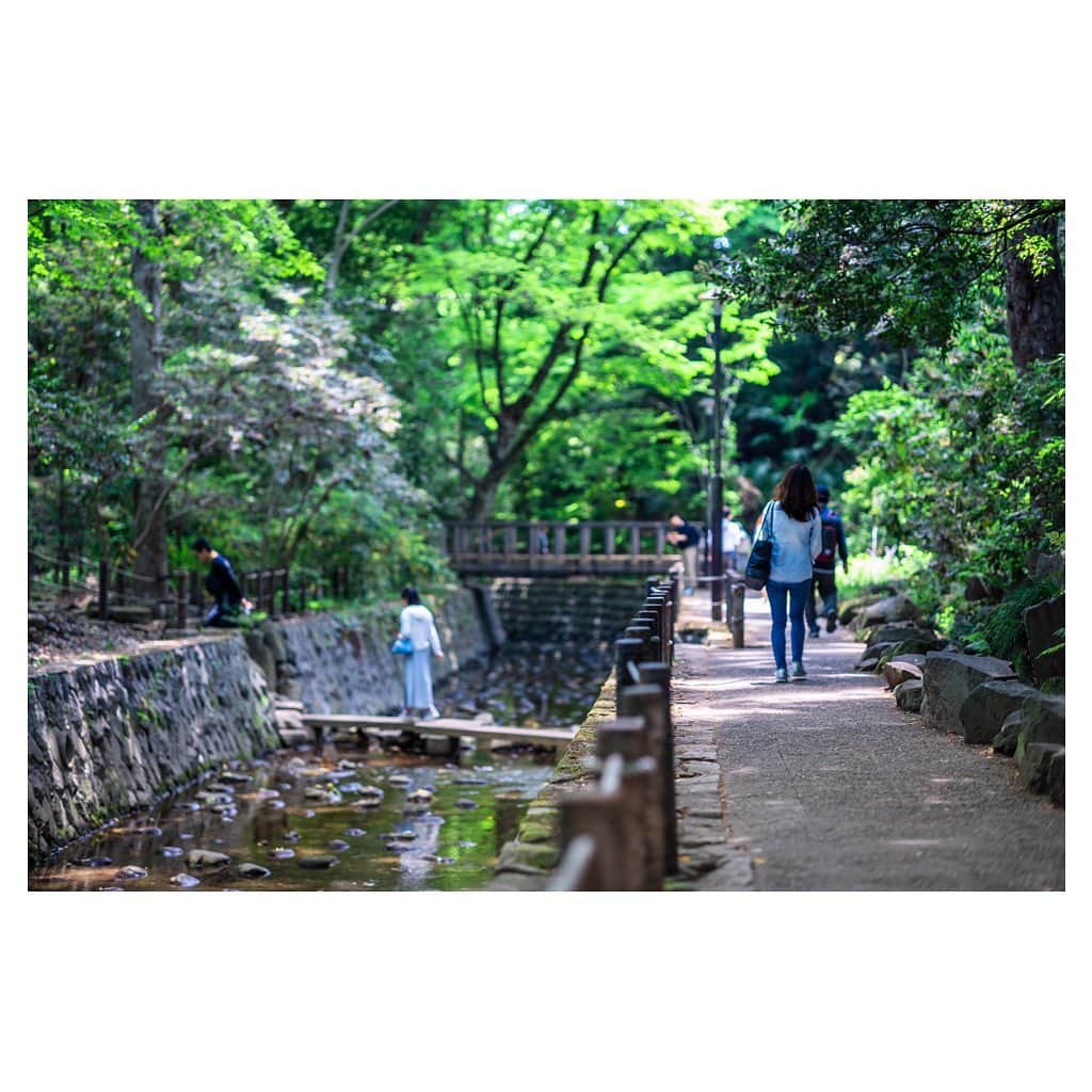 Skyticket.jpさんのインスタグラム写真 - (Skyticket.jpInstagram)「東京🗼等々力渓谷﻿ ﻿ 「#等々力渓谷 」は東京23区内にある唯一の渓谷です。#東京 のど真ん中にあるとは思えない自然豊な渓谷は、まさに都会のオアシス！都内で自然に触れたくなった時、気軽に訪れることができるおすすめのスポットです。森林浴で心も身体もリフレッシュ。﻿ ﻿ ピクニック気分で散策してみましょう。渓谷の中は外部より少しひんやりしているので猛暑の夏の日でも快適に過ごせますよ ﻿ ﻿ スカイチケット観光ガイドでは、東京に秘められたおすすめパワースポットを紹介中。 ﻿ こちらをチェック！ https://skyticket.jp/guide/338694 ﻿ ﻿ ﻿ ﻿ 🗼🗼🗼🗼🗼🗼🗼🗼﻿ 等々力渓谷 ﻿ 住所：東京都世田谷区等々力1-22 ﻿ アクセス：東急大井町線・等々力駅から3分ほど ﻿ http://www.city.setagaya.lg.jp/kurashi/106/149/641/644/d00039481.html ﻿ 🗼🗼🗼🗼🗼🗼🗼🗼﻿ ・ ﻿ ・ ﻿ ▼旅先の絶景やおすすめ写真を大募集📷 ﻿ #skyticketrip を付けた投稿はストーリーズでご紹介させてください🌈 ﻿ ﻿」3月11日 21時13分 - skyticket.jp