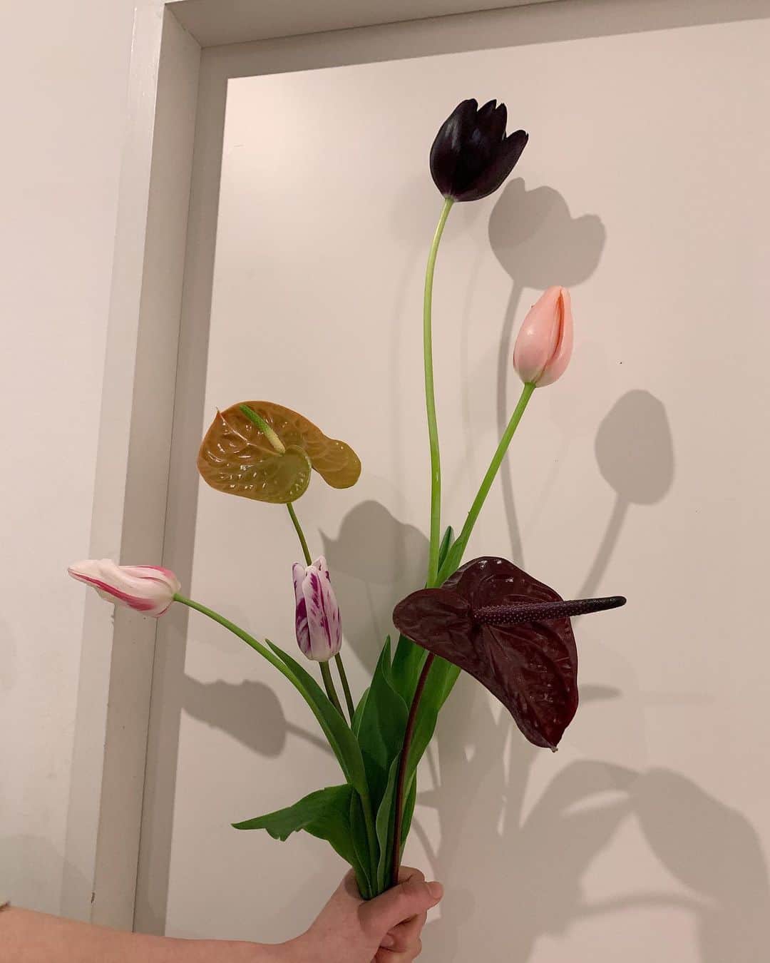 小谷実由さんのインスタグラム写真 - (小谷実由Instagram)「春を家に積極的に迎え入れてる💐 大好きな花ばかり」3月11日 12時26分 - omiyuno