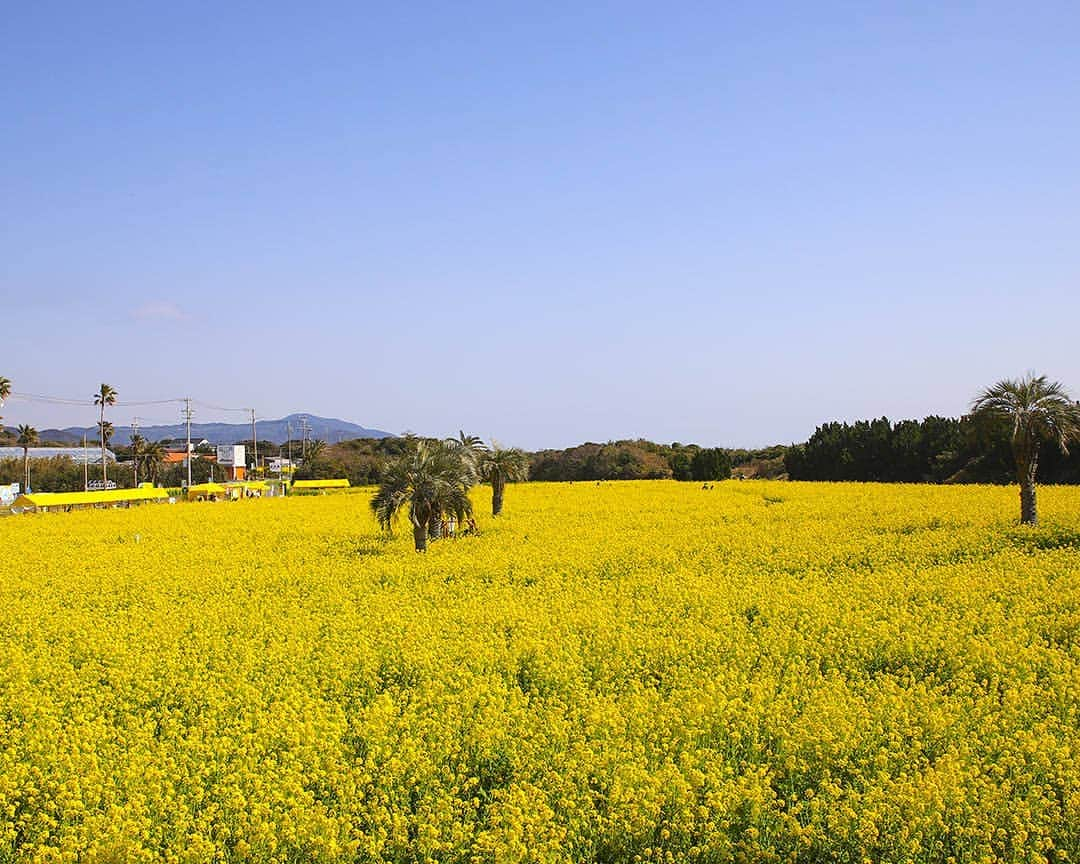 愛知県田原市のインスタグラム