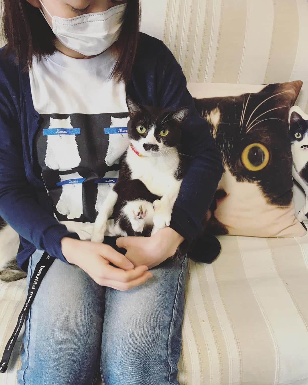 もじゃころのインスタグラム：「水曜日です。儀式です。 （ほんとは毎日のせてる）  このかわいいTシャツは @maruid71 ちゃんの新しいブランド @bluene.co のやつ💕モデルは @unosaru08 ちゃんちのリンツだよ😺  シルエットは坂東っぽいけどリンツはかわいいネコチャン、坂東はどうしようもないワンちゃんです🐶  #坂東玉隠しシャシャ丸  #チョッチュ具志コロペッペ  #バングシー  #あいちゃんの膝の上  #水曜日の悪夢」