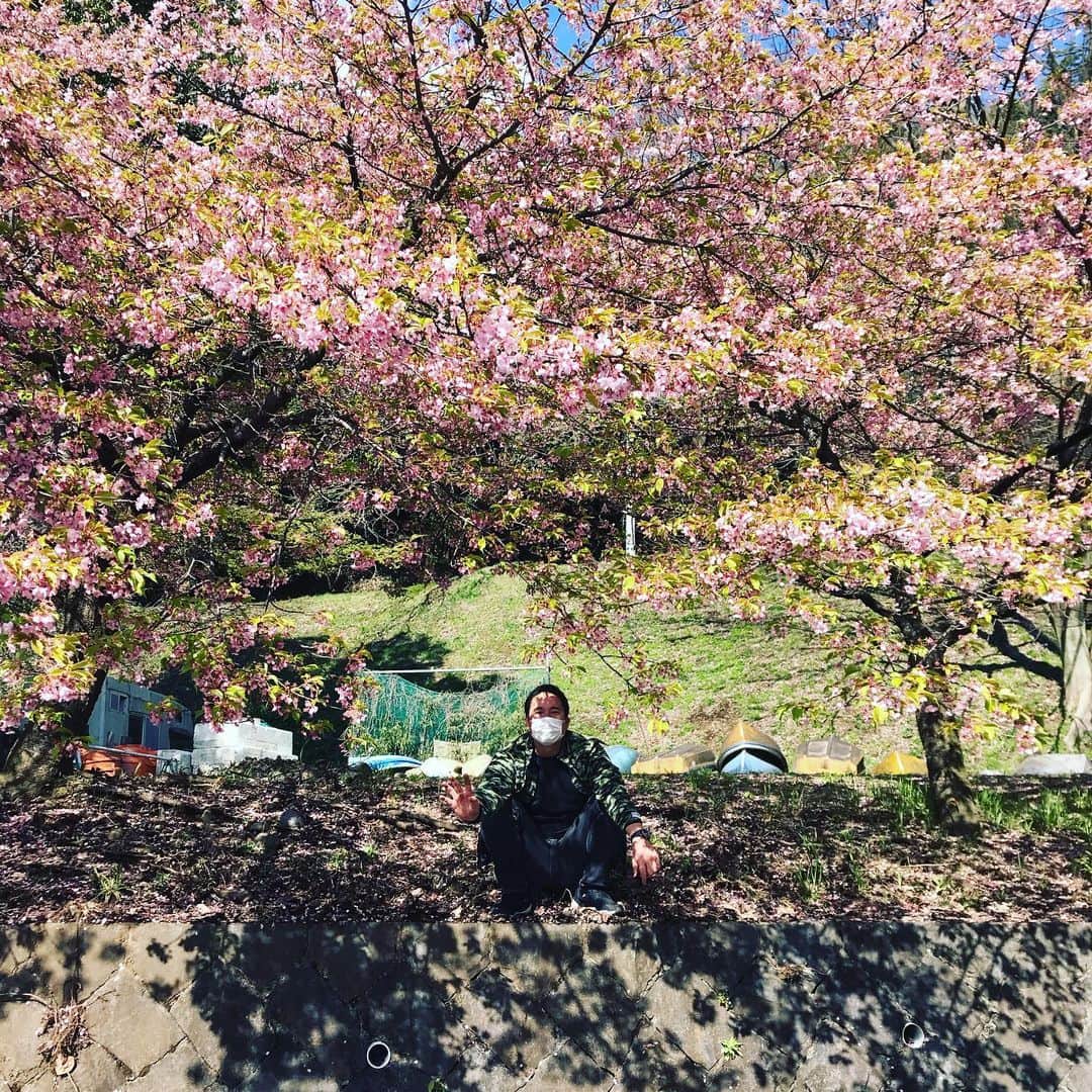 井手大介のインスタグラム：「桜咲く津久井湖でワカサギ釣り！」