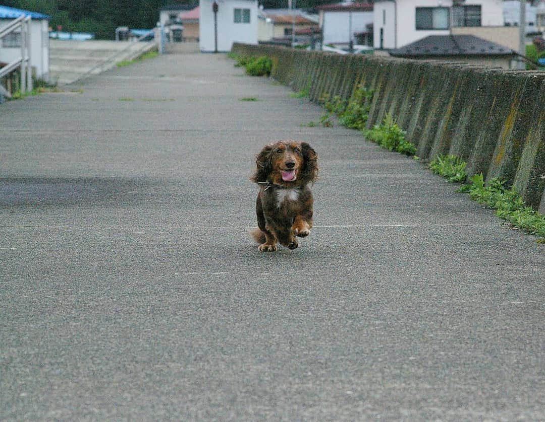 Erikaのインスタグラム