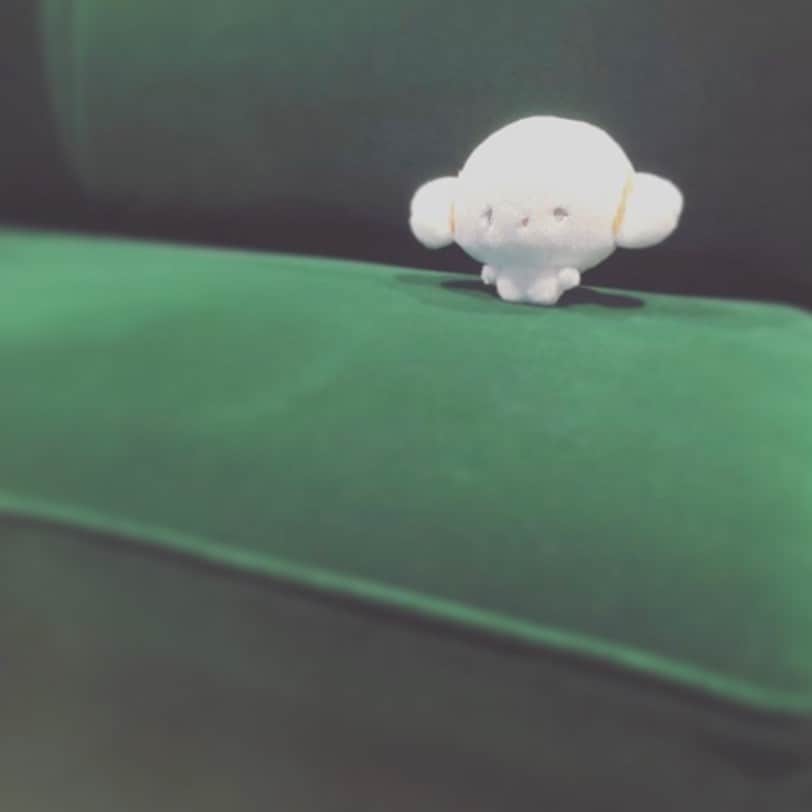 のインスタグラム：「. お鼻がムズムズするみゅん‥ 目もかゆいみゅん‥みゅぅぅん‥ #サンリオ #キャラクター #小麦粉の妖精 #こぎみゅん #花粉症 #sanrio #character #cogimyun」