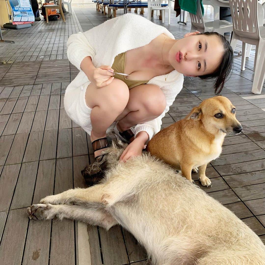 岩間恵のインスタグラム：「澄ました顔して 寄り添ってくるわんこ🐶可愛すぎたよ  朝起きたらさすがに耐えきれなくて、 耳鼻科行って花粉症の薬もらってきた。。。」