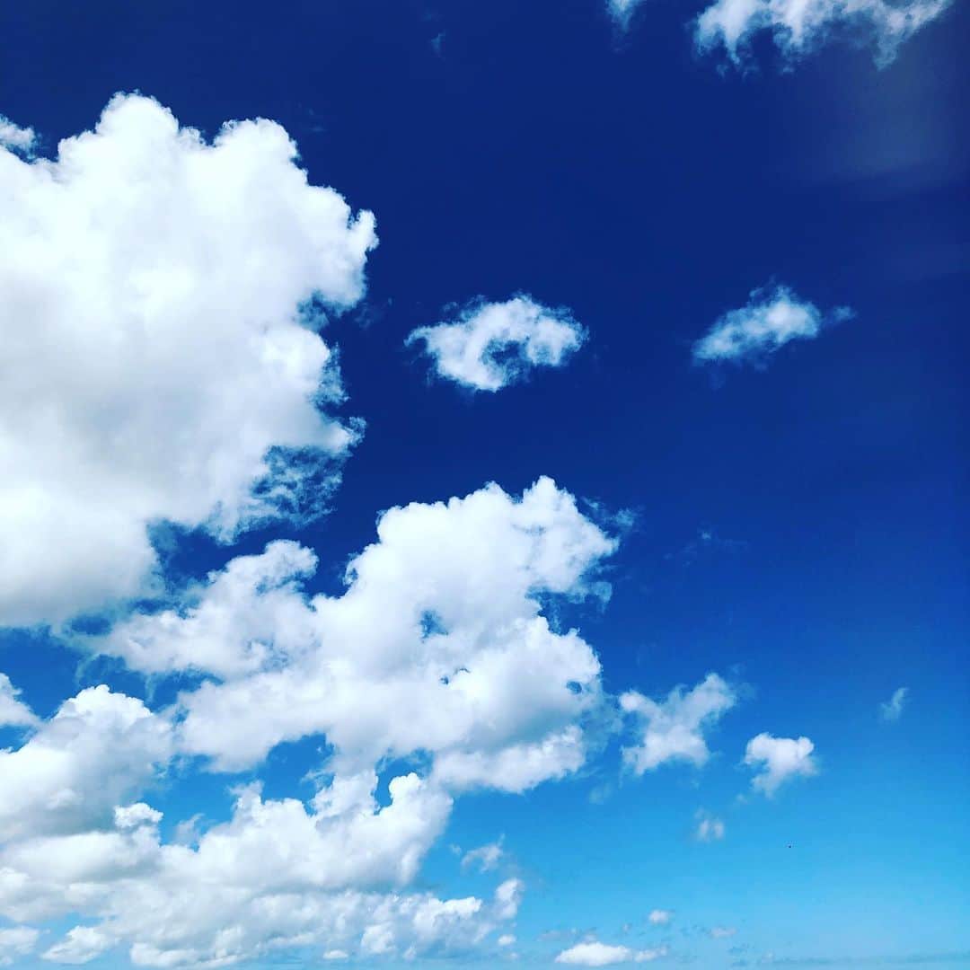 のインスタグラム：「3.11  忘れられない日。  1日1日を大切に生きよう。  #岡部玲子 #レポーター　#3月11日 #忘れない　#東北　#母の実家　#祖父母の家　#1日1日を大切に」