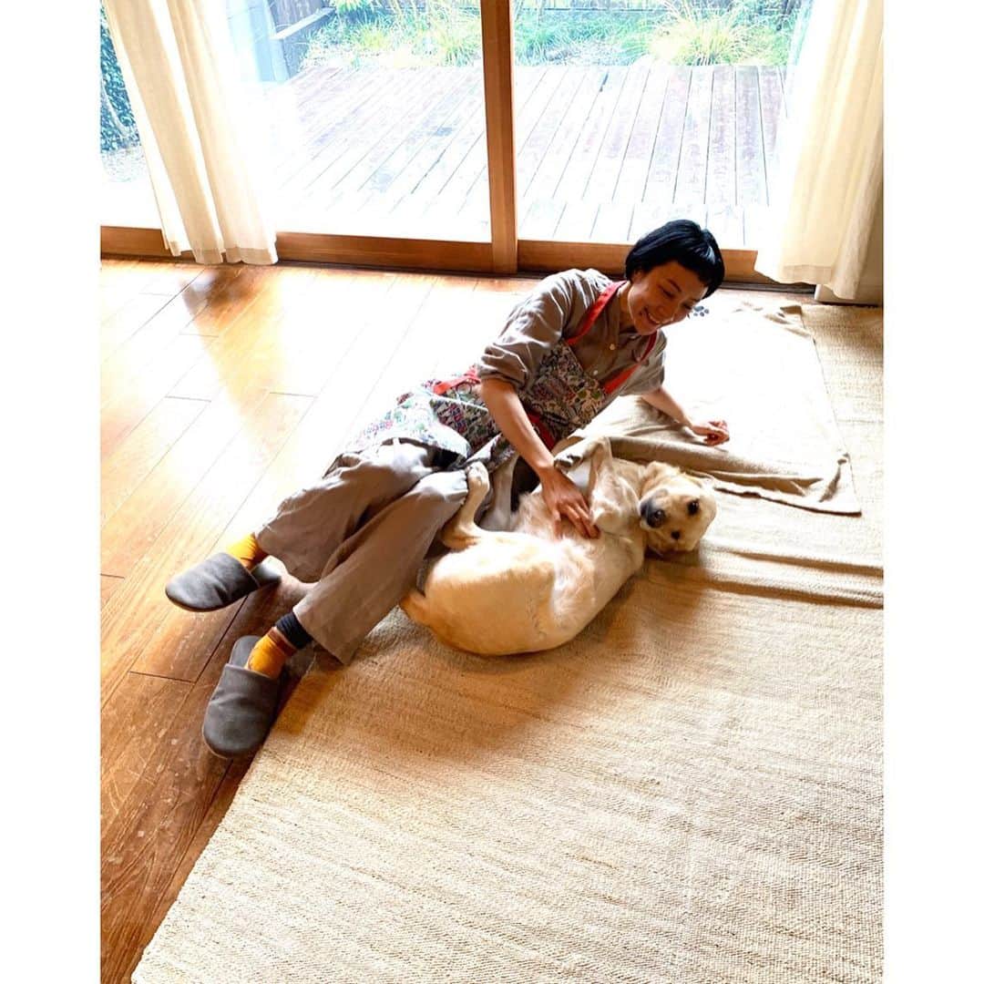 のインスタグラム：「Meet my new puppy buddy, Vanna!はなとヴァナです♡アリゾナ生まれのヴァナちゃんは友達りーちゃん一家と昨年、日本にやってきました。　 すてきな一軒家にお住まいのりーちゃん宅でお味噌作り。どこを切り取っても絵になるおうちでヴァナちゃんをわしゃわしゃして、ゴロゴロしている間においしいランチまで作ってくれて、りーちゃんってば最高(๑>◡<๑)今年の味噌作り、私はタッパ初挑戦です。  #味噌作り」