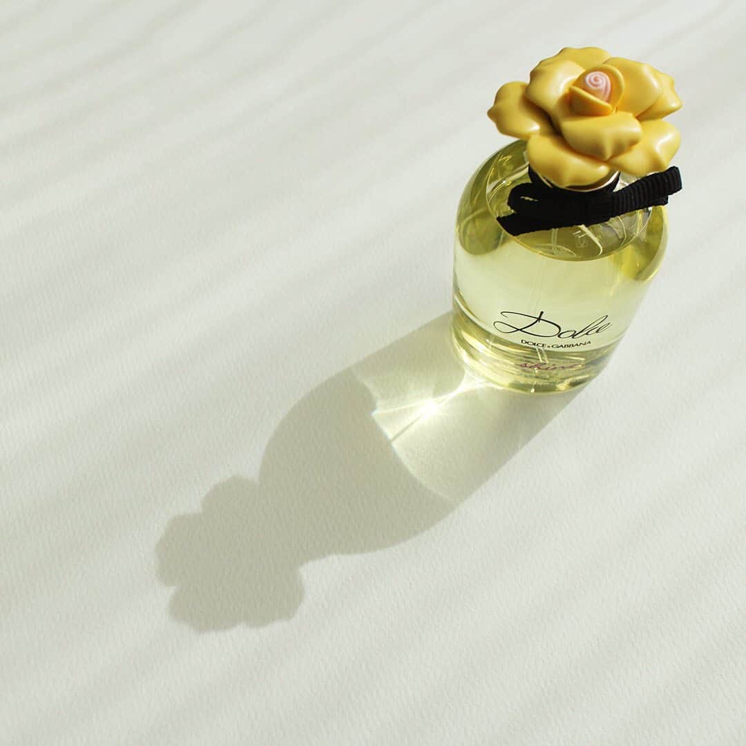 SHISEIDO THE GINZAさんのインスタグラム写真 - (SHISEIDO THE GINZAInstagram)「【フルーティ フローラルが香る、輝きと喜びにみちたオードパルファム】 香りの庭園「ドルチェ＆ガッバーナ ドルチェ」シリーズから、輝くようなイエローの花の新香調が登場。  調香師マリー・サラマーニュは、繊細で陽気なフローラルブーケに一人ひとりの女性を輝かせるパワーを込め、喜びに満ちた新しいフローラルの香りを作りました。  花々を照らす日差しのような陽気さとフレッシュさにあふれ、輝かんばかりの喜びとともに弾ける、「ドルチェ＆ガッバーナ ドルチェ シャイン オードパルファム」。 色鮮やかでジューシーなマンゴーと、エアリーなジャスミン、太陽をたっぷり浴びたブロンドウッドが、ひと肌のやわらかな温もりを思い起こさせるサニー フルーティ フローラルの香りです。  #資生堂 #shiseido #shiseidothestore #ドルチェアンドガッバーナ #dolceandgabbana #dolcegabbana #dolcegabbanabeauty #ドルチェ #dolce #ドルチェシャイン #dolceshine #ドルチェシャインオードパルファム #オードパルファム #eaudeparfum #香水 #香り #フレグランス #フルーティフローラル #マリーサラマーニュ #mariesalamagne」3月11日 16時23分 - shiseidothestore