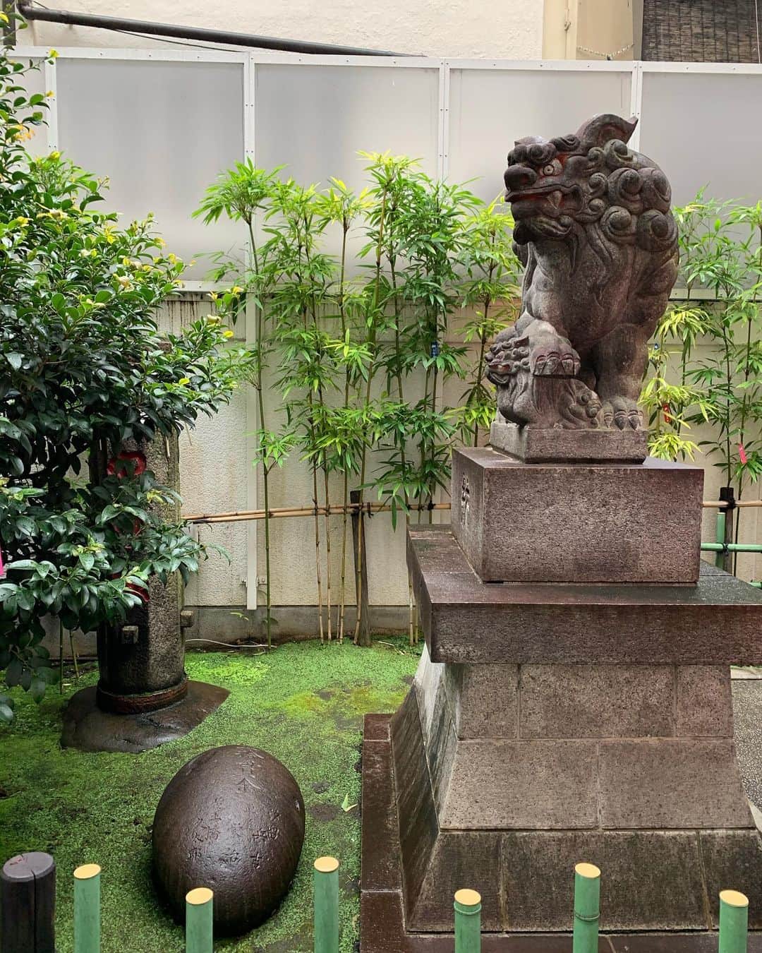 水原乙さんのインスタグラム写真 - (水原乙Instagram)「・ ・ 約1000年の歴史をもち"関東のお伊勢様"として信仰を集めた東京十社のうちの一つ、金運・宝くじ運UPの神様として有名な「芝大神宮」へ参拝しに行ってきました⛩✨ ・ 参拝前にロト6を購入❗️ 宝くじ運がつくことを祈ります🙏🏻💕 ・ ※3枚目画像は、「烏森神社」の力石です。 ・ ・ 🌹 ・ ・ #芝大神宮 #東京 #港区 #神社 #神社巡り #御朱印 #御朱印ガール #金運 #金運アップ #宝くじ #パワースポット #旅行 #癒し #リラックス #グラビア #グラドル #水原乙 #インスタグラマー #tokyo #minatoku #bikinicompetitor #bikini #japanesegirl #asianbeauty #gravure #portrait」3月11日 17時10分 - mizuhara_oto