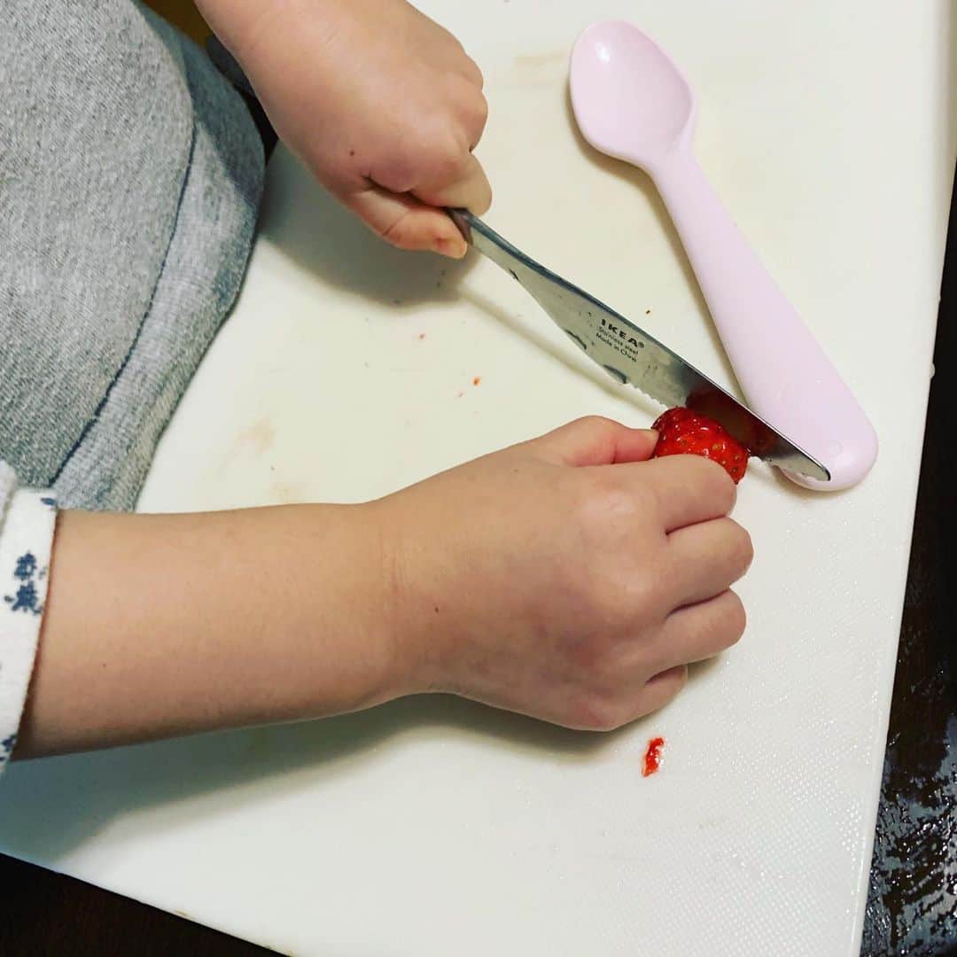 池辺愛さんのインスタグラム写真 - (池辺愛Instagram)「今日は3歳の娘とミルクゼリー作り🍓 自分でイチゴのヘタを取って、みかんを入れたよ🍊 ゼリーのもとを流し込んで、冷蔵庫に入れて、お昼寝して起きたら・・・ フルーツ入りミルクゼリーのできあがり😍 ・ おいし〜と言いながらパクパク食べていました😋 ・ それにしても左利きかな😯？ ボールを投げたり蹴ったりは全部左。 クレヨンとかお箸は右で持つけどね。 まぁそれも個性かな😉 ・ ・ ・ 9年前、まさかあんな地震が起きるなんて想像だにしていなかった。 今も、まさかこんなウイルスに生活を脅かされるなんて少し前まで思いもしなかった。 明日どうなるかなんて誰にも分からない。 だから今日生かしてもらっていることに感謝をして、今を大切に生きようと思う☺️ ・ ・ ・ #ミルクゼリー #牛乳寒天 #おやつ #おやつ作り #3歳 #左利き」3月11日 17時14分 - aiikebe