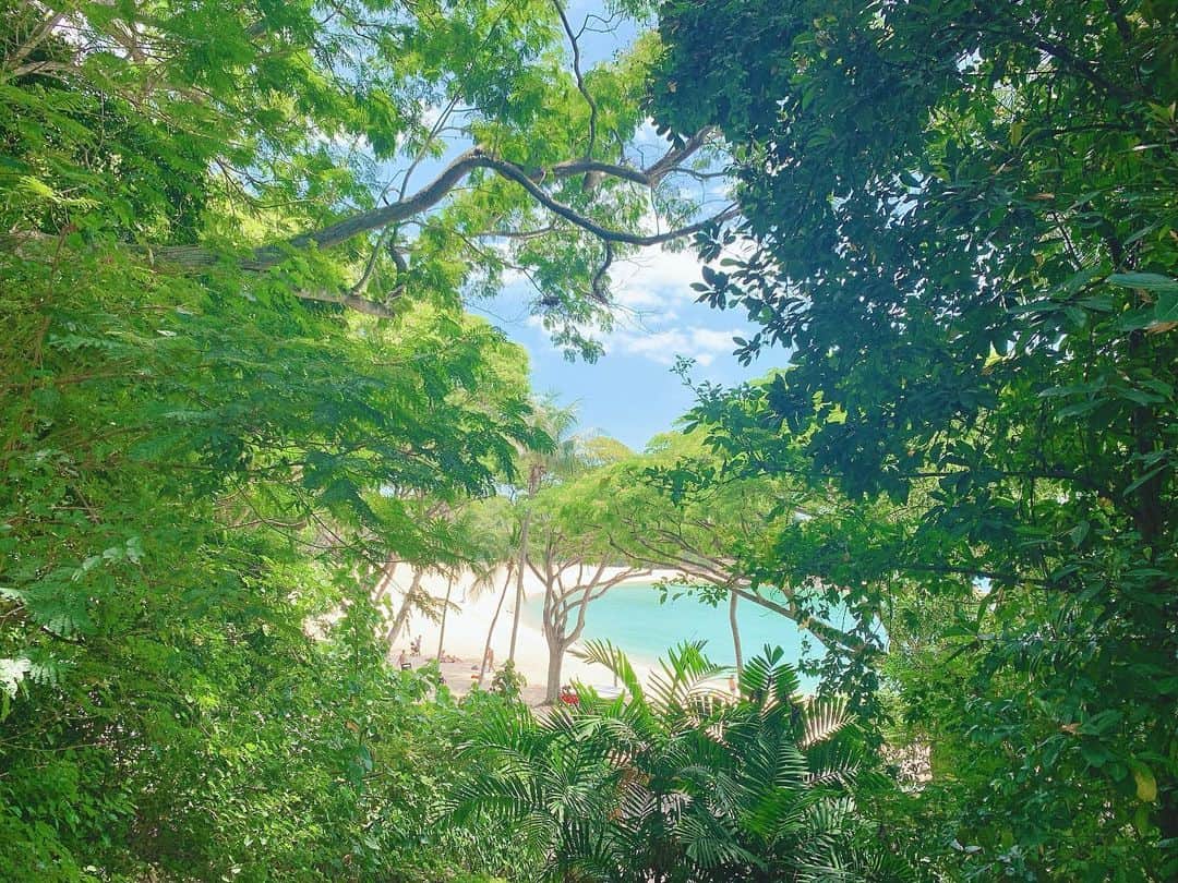 空山菜摘さんのインスタグラム写真 - (空山菜摘Instagram)「♡ セントーサ島🇸🇬 . . セントーサ島は特に海が綺麗って 聞いてた訳でもなかったけど 普通に綺麗で良かった〜😍💕 ホテルのお庭を抜けていくと見えてくる 3枚目の景色が大好き🥰 . . プライベートビーチじゃないし、 ちょっと見に行こかのつもりが 結構長時間滞在したよ😂 8枚目が無加工で撮った写真✨📸 . . . . . #シンガポール旅行 #シンガポール #セントーサ島 #シンガポール韓国 #海外旅行  #旅行大好き #ソラtrip #女子旅 #タビジョ #旅行好きな人と繋がりたい #リゾートホテル #genic_singapore #tabijyomap_singapore #ビーチリゾート#🇸🇬 #水着 #ビキニ #水着コーデ #リエンダ #rienda」3月11日 19時19分 - natsumi_sorayama