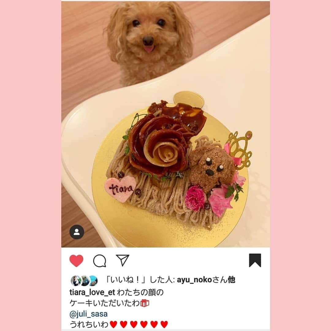 夜のケーキ屋さん♥Juli　(エディブルフラワー協会) のグルメインスタ