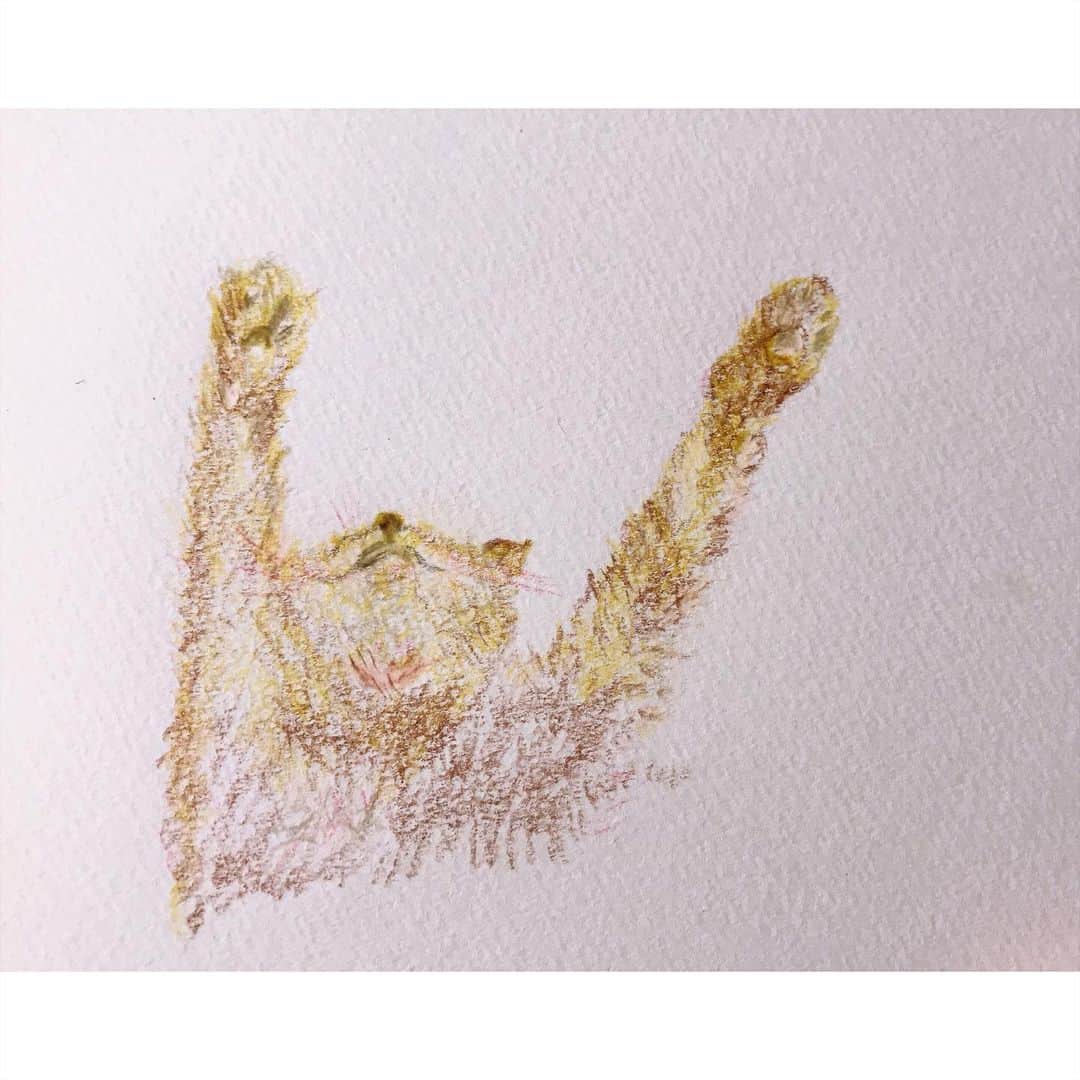 中田絢千のインスタグラム：「3.11 のびやかに、すこやかに 4色。#にゃん色えんぴつ」