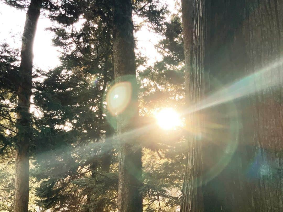 井浦新さんのインスタグラム写真 - (井浦新Instagram)「今年の３.１１は福島の神社で」3月11日 19時42分 - el_arata_nest