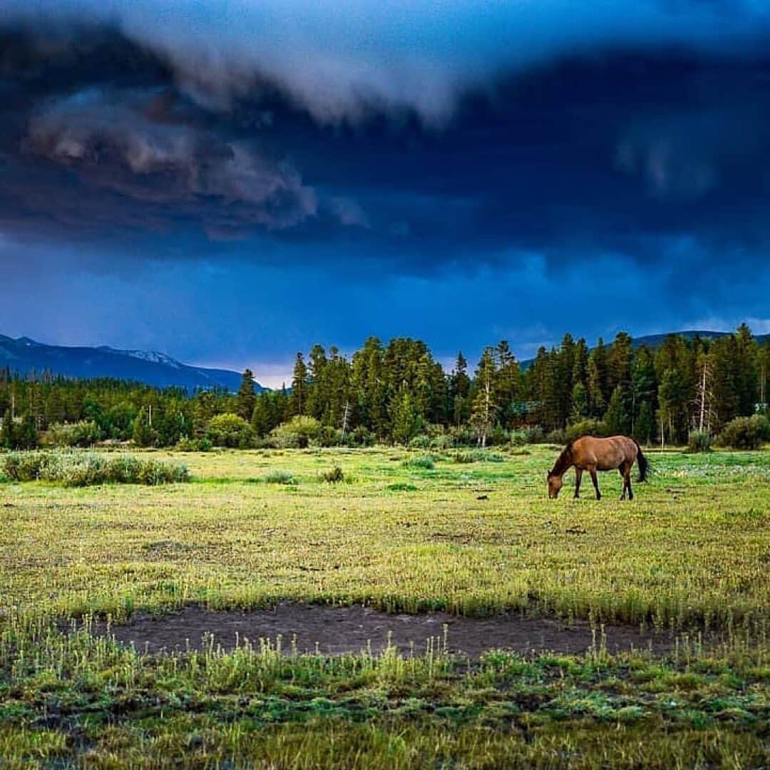 のインスタグラム：「Posted @withregram • @windingriverranch This could be your wedding backdrop! 📷Reposted from @starkravingmadphotography  #adventure #mountains #exploregrand #artofvisuals #wilderness #earthfocus #folkscenery #instagood #fingerprintofgod #folkgood #discoverearth #natgeoyourshot #natgeo #landscapephotography #rockymountains  #ourdailyplanet #agameoftones #pentax  #radcolorado #teampentax @ricohpentax  #beaut #windingriverranch」
