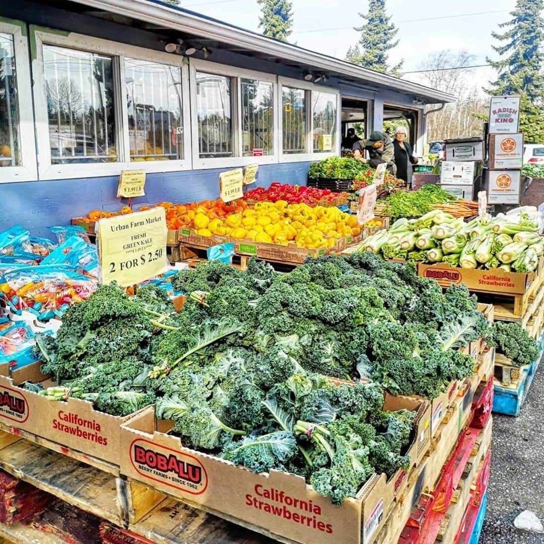 バンクーバー観光局- Tourism Vancouverのインスタグラム：「バンクーバーでは日本で普段見かけないような野菜・果物に出会うことができるので、旅行の際はぜひ色んなお店に足を運んでみてください。豪快に積まれた野菜果物売り場を見ているだけでも、楽しくなってきますよ。⁠ 📷 : @tasteofvancouver(Instagram)⁠ .⁠ .⁠ .⁠ #カナダ #バンクーバー #Vancouver #旅 #旅行 #女子旅 #旅好き #一人旅 #海外旅行 #トラベル #旅女子 #旅行好きな人と繋がりたい #旅好きな人と繋がりたい #旅行好き #旅行大好き #旅行行きたい #旅に出たい #海外 #旅の記録 #旅の思い出 #旅行記 #旅したくなるフォト #マイトリップ #マイトリ #retrip_global #風景 #八百屋 #ケール #野菜 #青果」