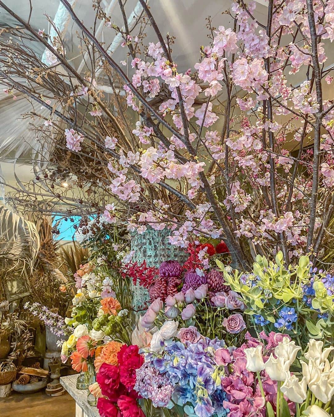スミス楓のインスタグラム：「🌸かわいい🥱💓 春のにおいって懐かしいなぁ🤏🏻☁️」