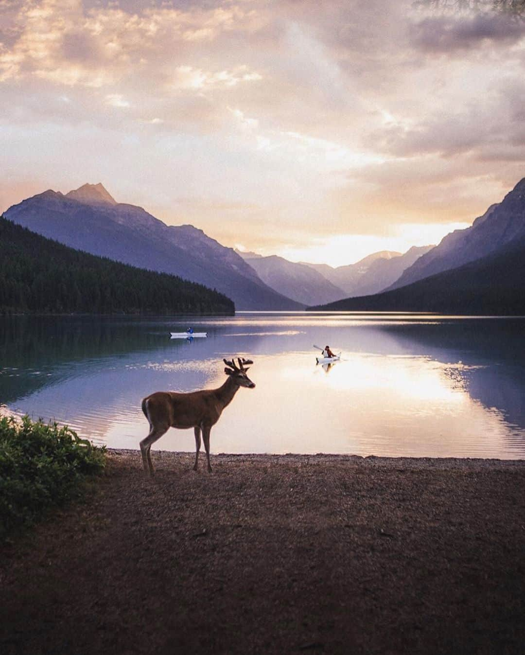 Discover Earthさんのインスタグラム写真 - (Discover EarthInstagram)「"Those mornings where you have to keep pinching yourself because it doesn’t seem real" 🇨🇦 #DiscoverCanada  Photos by @justindkauffman」3月11日 21時53分 - discoverearth